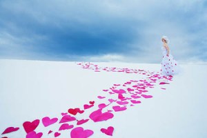 follow-your-heart-web1